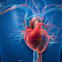heart and hydration