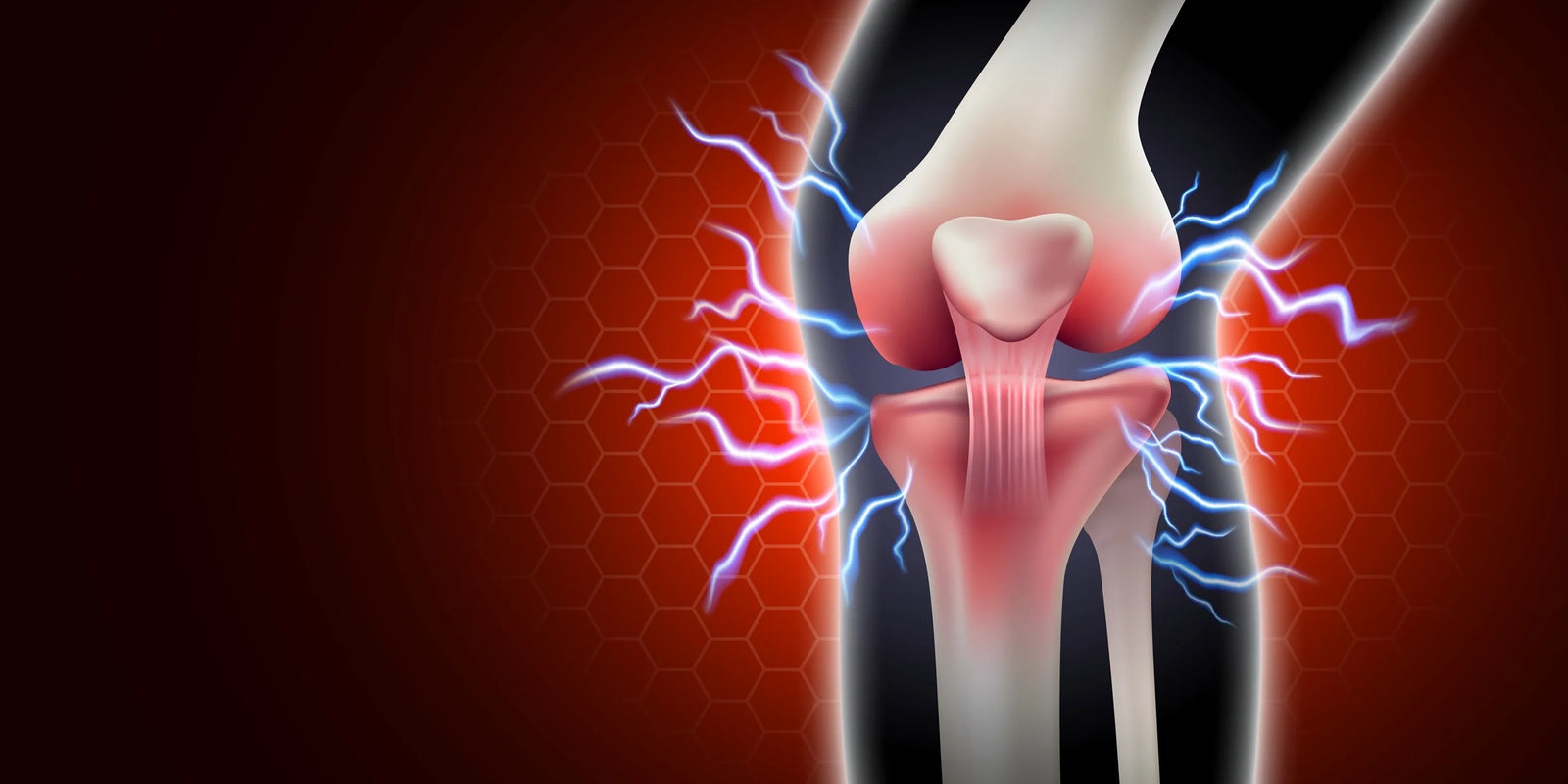 hydration for joints and muscles